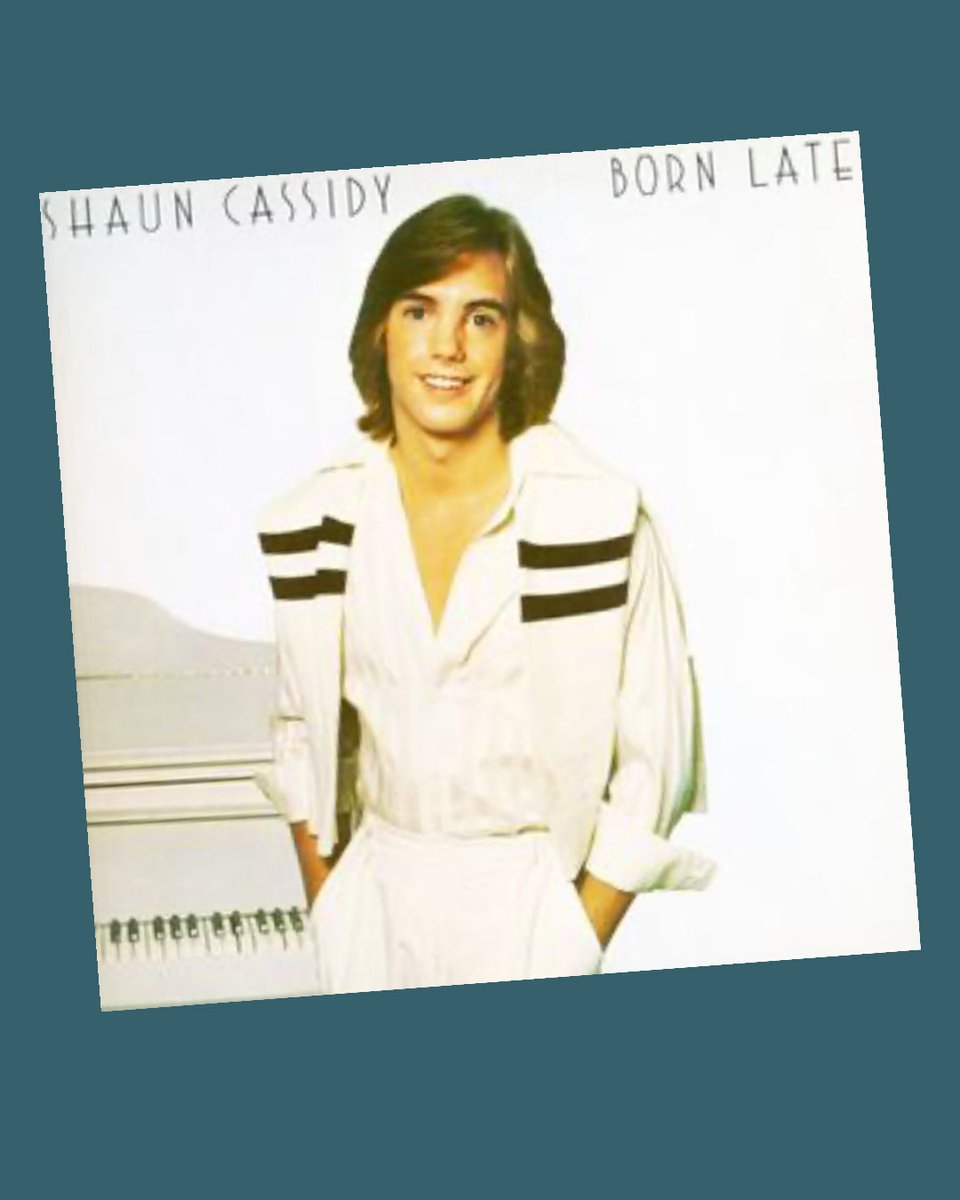 Violet Lemay tweet media