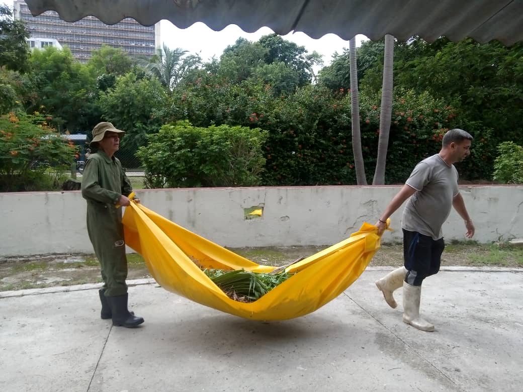 Realizan trabajadores del <a href="/MitransCuba/">Ministerio del Transporte de Cuba</a> e <a href="/HabanaInmuebles/">Habana Inmuebles</a>, cambio de labor en función de la limpieza y la higiene de las áreas del organismo.
