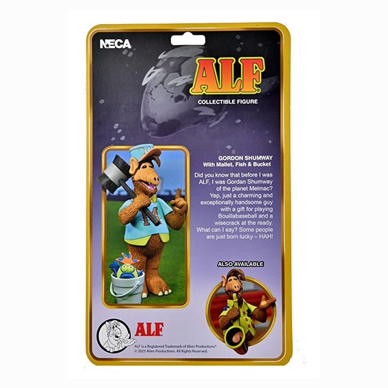 ImpactSouvenir's tweet image. ALF Toony Classics - Gordon Shumway (ALF) avec Maillet, Poisson &amp;amp; Seau
befr.ebay.be/itm/1467756996…
Ne manquez pas cette chance d'ajouter une touche d'espièglerie Melmacienne à votre collection !
ALF (Gordon Shumway) de la gamme Toony Classics de NECA
#ALF #AlfTheAlien #Melmac #NECA