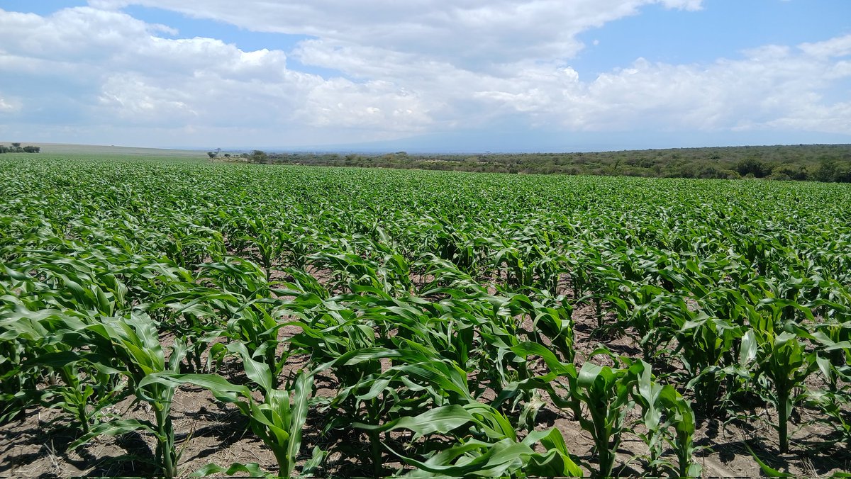 David Jones tweet media