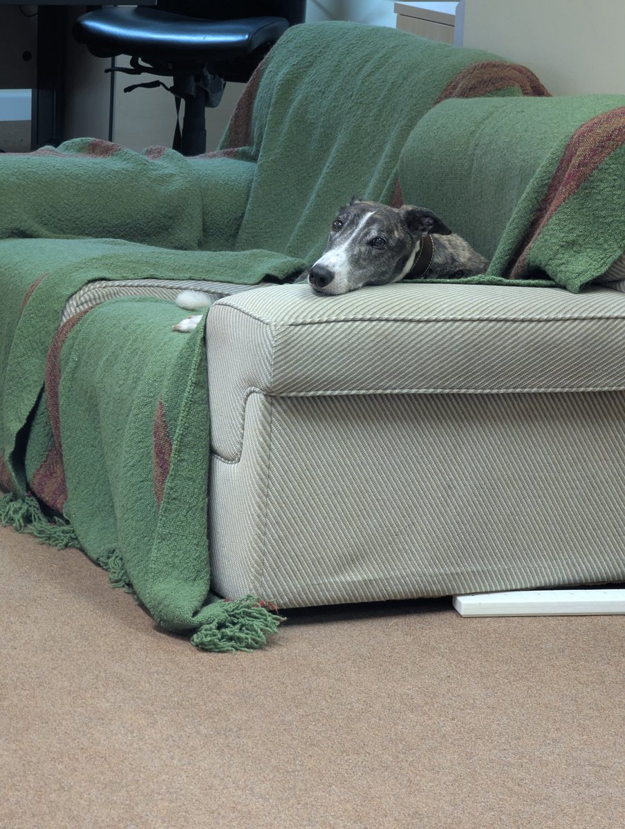 A slightly different view today from the last 3 weeks! 😂