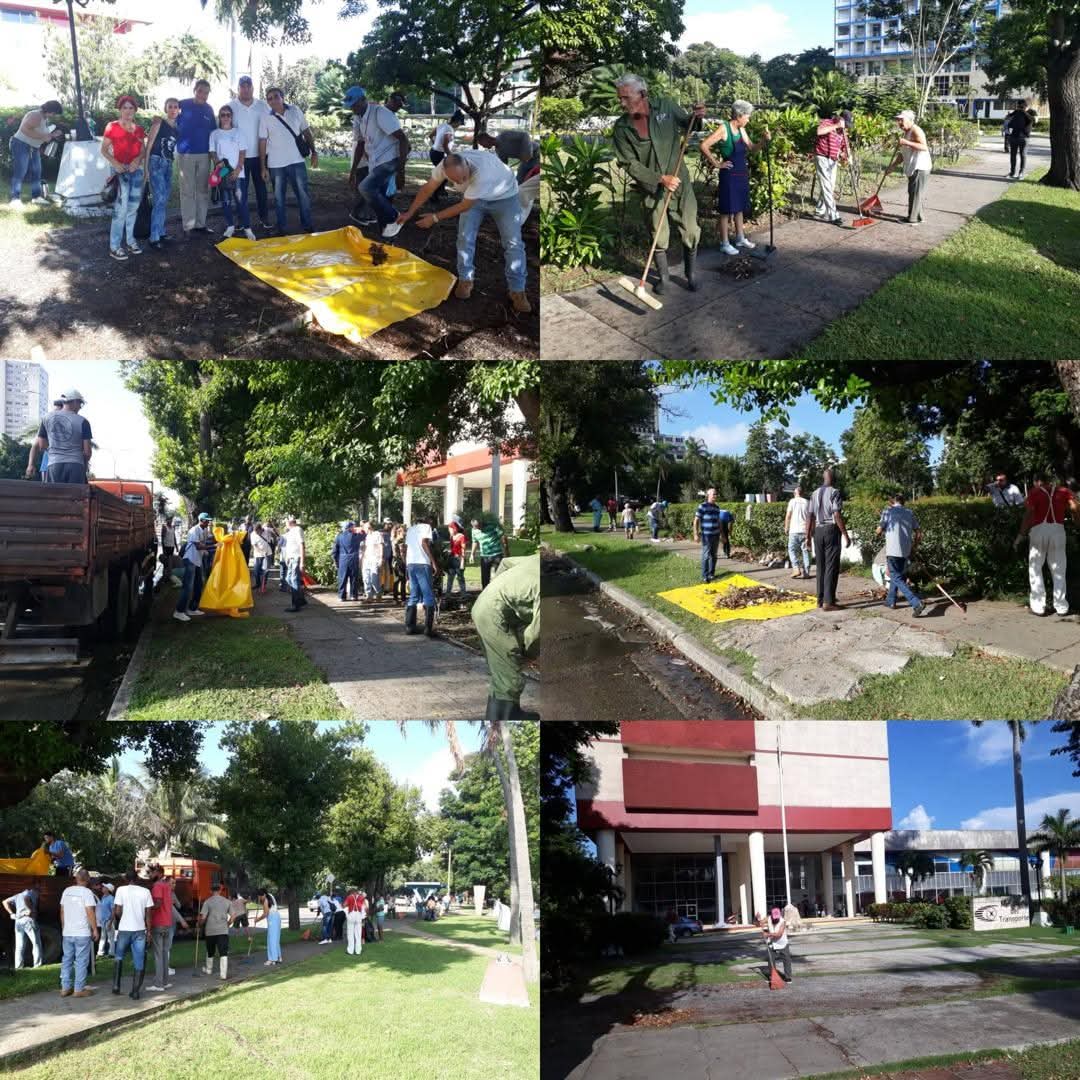 Los trabajadores del Mitrans, sin perder un segundo, en la limpieza y embellecimiento de sus áreas.
#LaHabanaViveEnMí 
#LaHabanaDeTodos