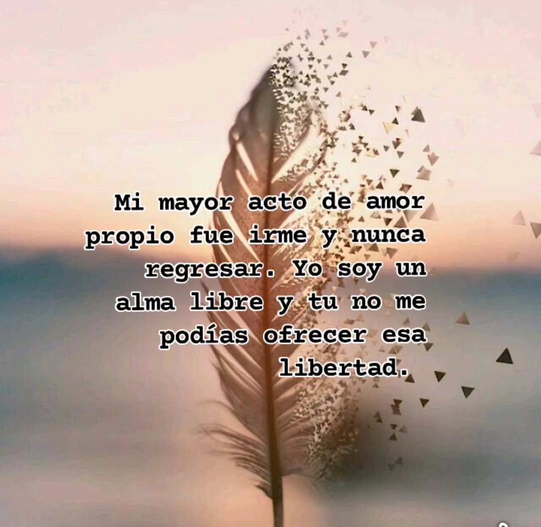 araldi_bueno's tweet photo. https://t.co/oZVUVxrQoM