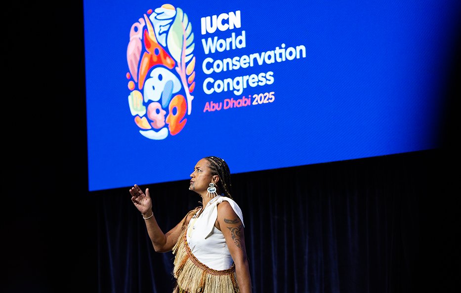 Earth Negotiations Bulletin tweet media