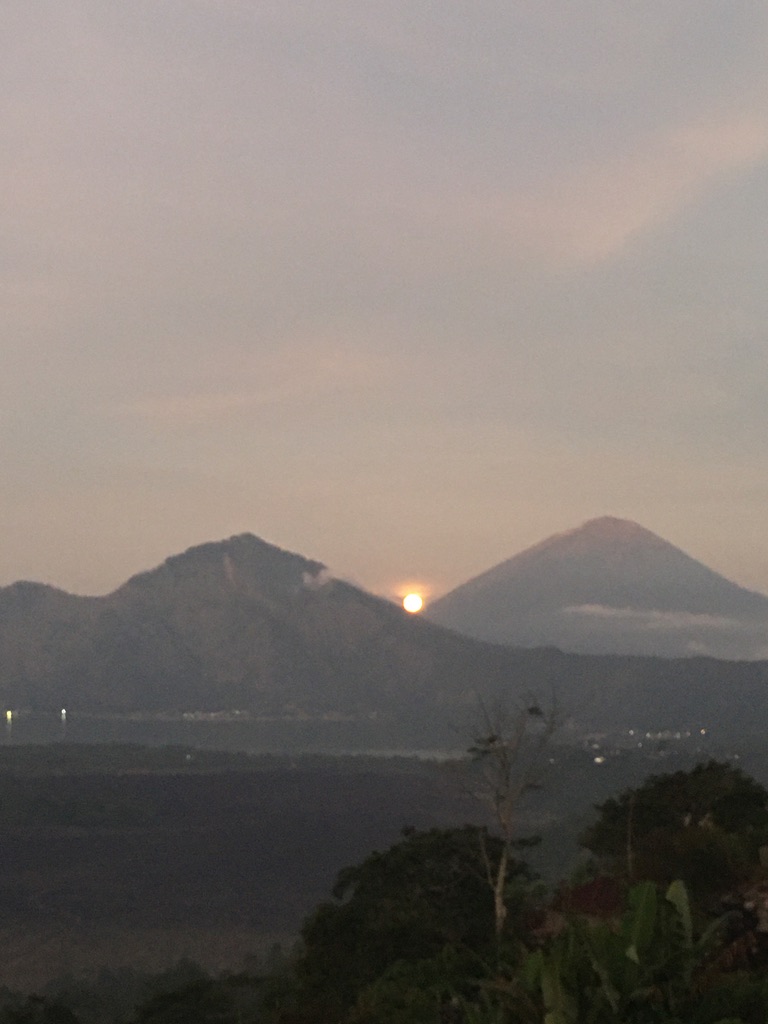 dinikopi13's tweet photo. mulai tinggal di Bali, aku mulai nerima fakta kalo emang aku sensitif terhadap energi. Apalagi kalo dari Human Design, centre aku banyak yg warna putih yg indikasi memang highly sensitive person

ke mana aku melangkah, selalu banyak kebetulan indah seolah Tuhan sedang menghiburku https://t.co/Ls0MCragl3