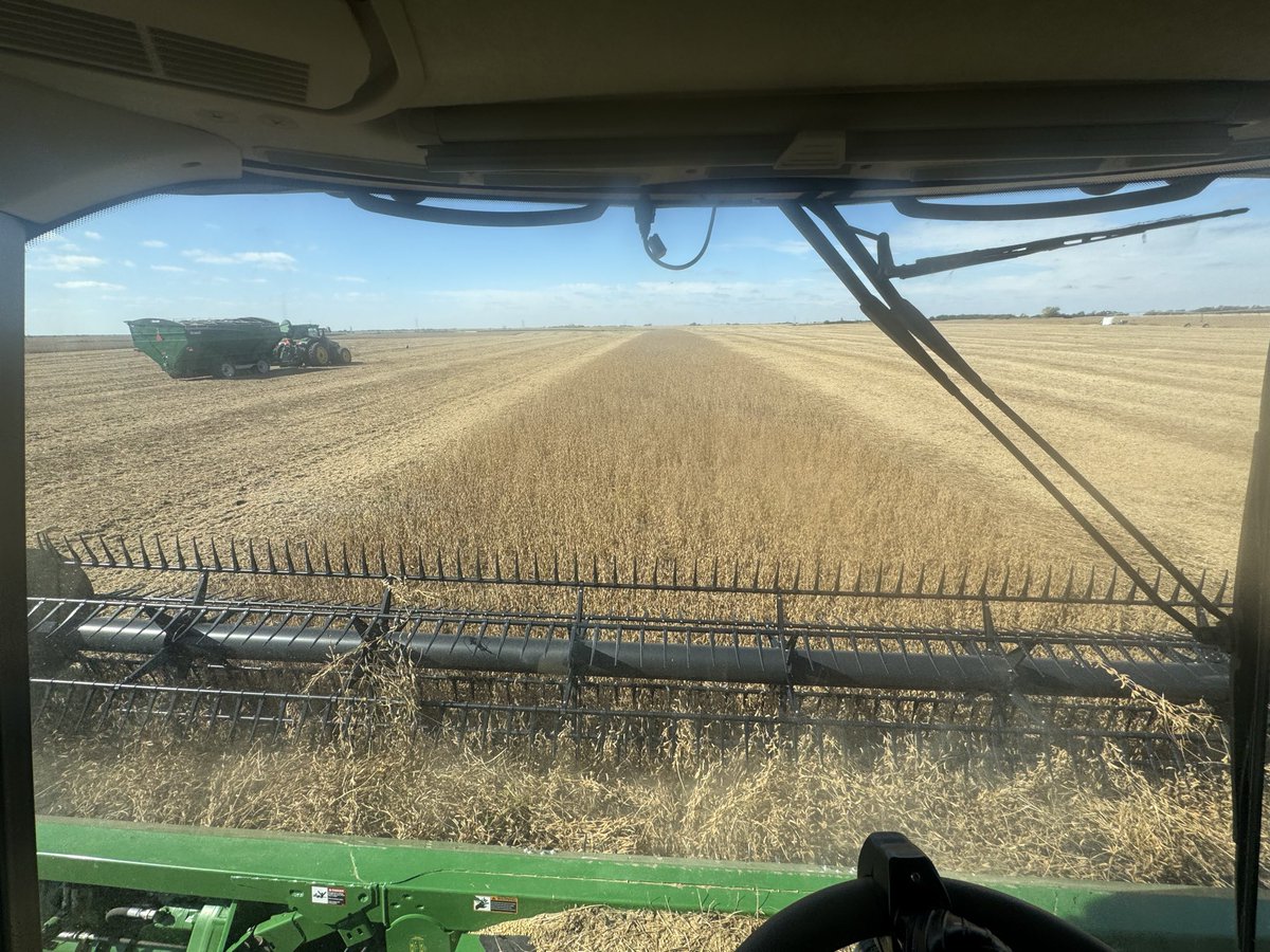 Jake Bachman tweet media