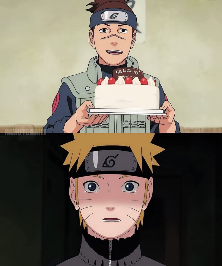 daily iruka 🐬 || IRUKA MONTH tweet media