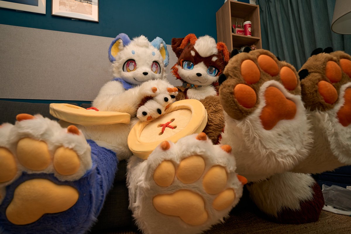 两星毛！  
宵夜来点香香的掌和爪~ 
Long-awaited photograph
Two StarFire Fursuits
🐻‍ ：谧海<a href="/GenshokuD/">原色 Genshoku➡️Hi Furry</a>
📷 ：夕阳@RedSunest
#FursuitFriday