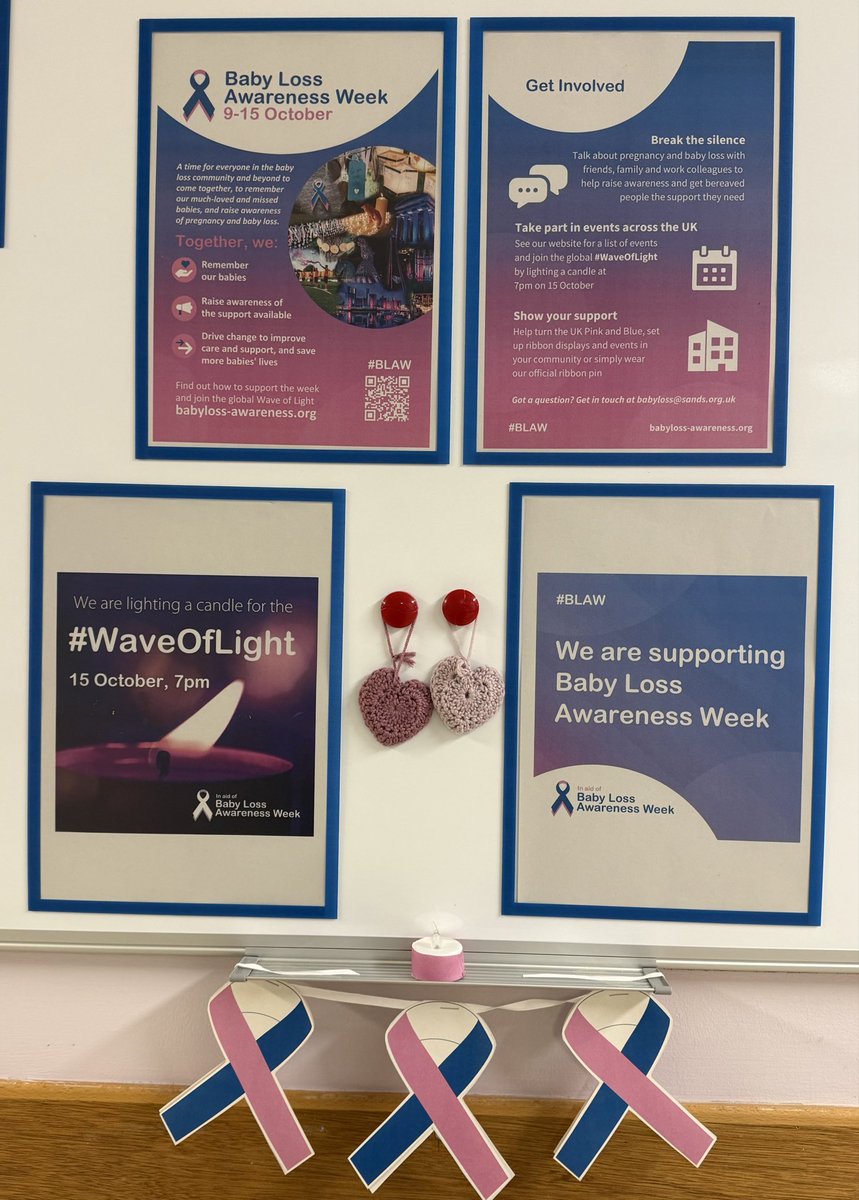 SCBU and Noahs Arc tweet media