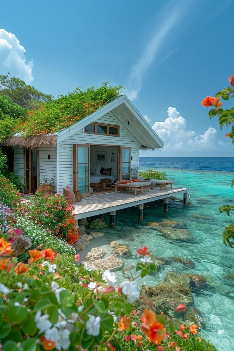 naturelover6023's tweet image. 