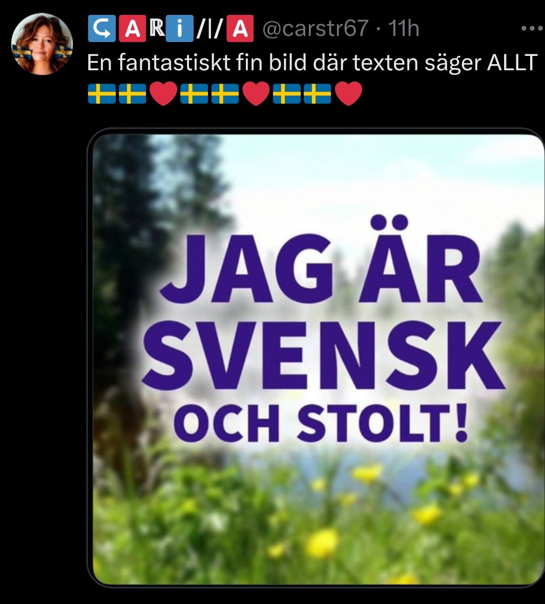 Jag är inte nazist men....  🤡#svpol