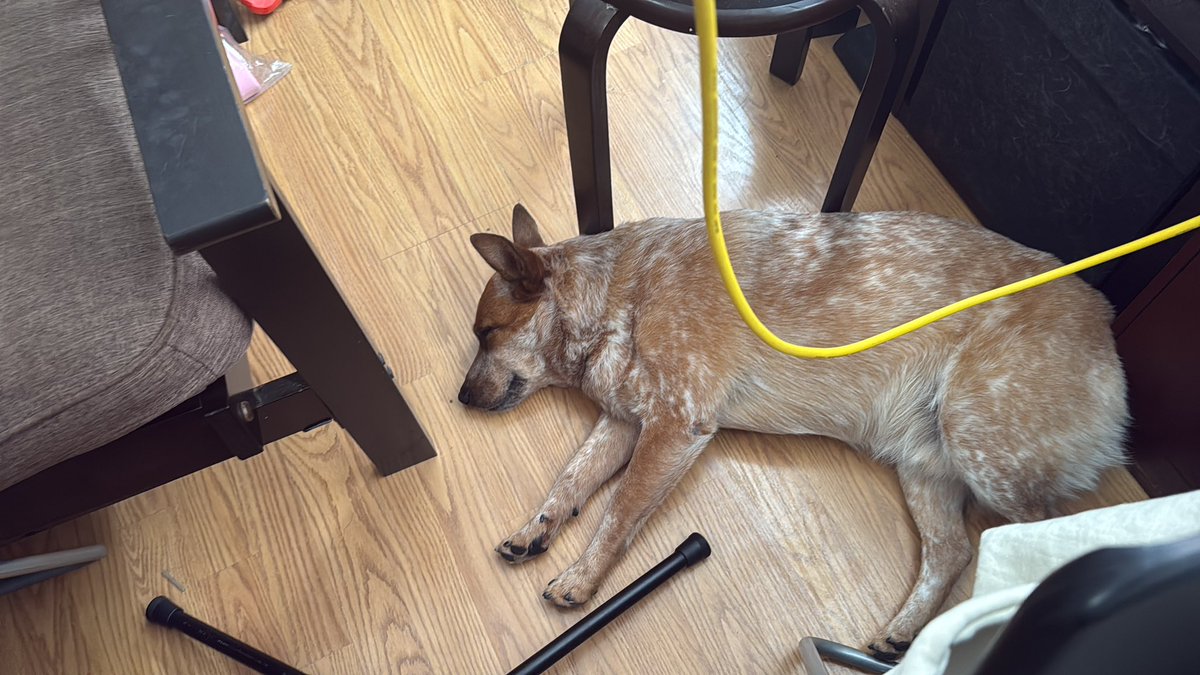 Hope y’all are having a good week!