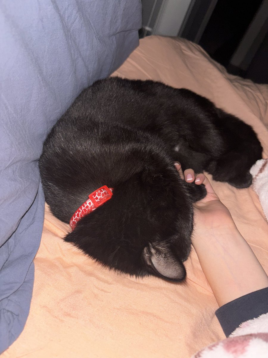 Sonunda rahat ettin mi annem (elimi tutmadan uyumuyor)