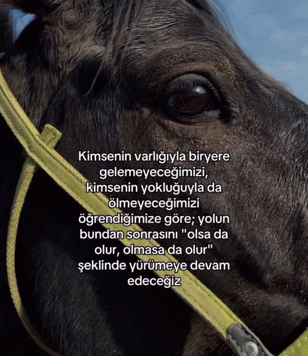 ezgi (@bisalsanbee) on Twitter photo 