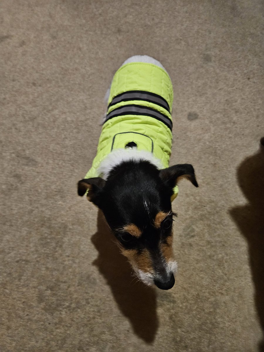 Hi Vis weather