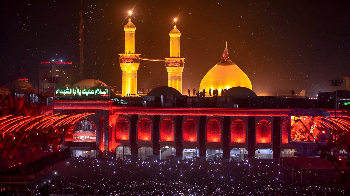 محمدعلی tweet media