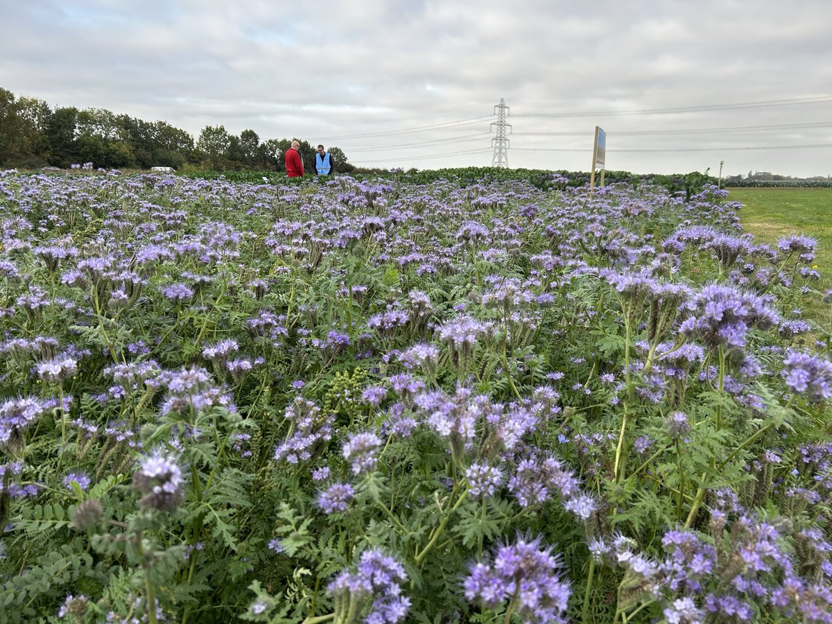 Kingston22W's tweet image. Day 2 of the Vegetable Open days in Lincolnshire 
With some wonderful hospitality from the seed houses  promoting great veg varieties and new developments.
#Elsoms #Hazera #Clause #RijkZwaan 
#Sakata #Seminis #Bayer #Syngenta 
#Tozers #Agriseeds