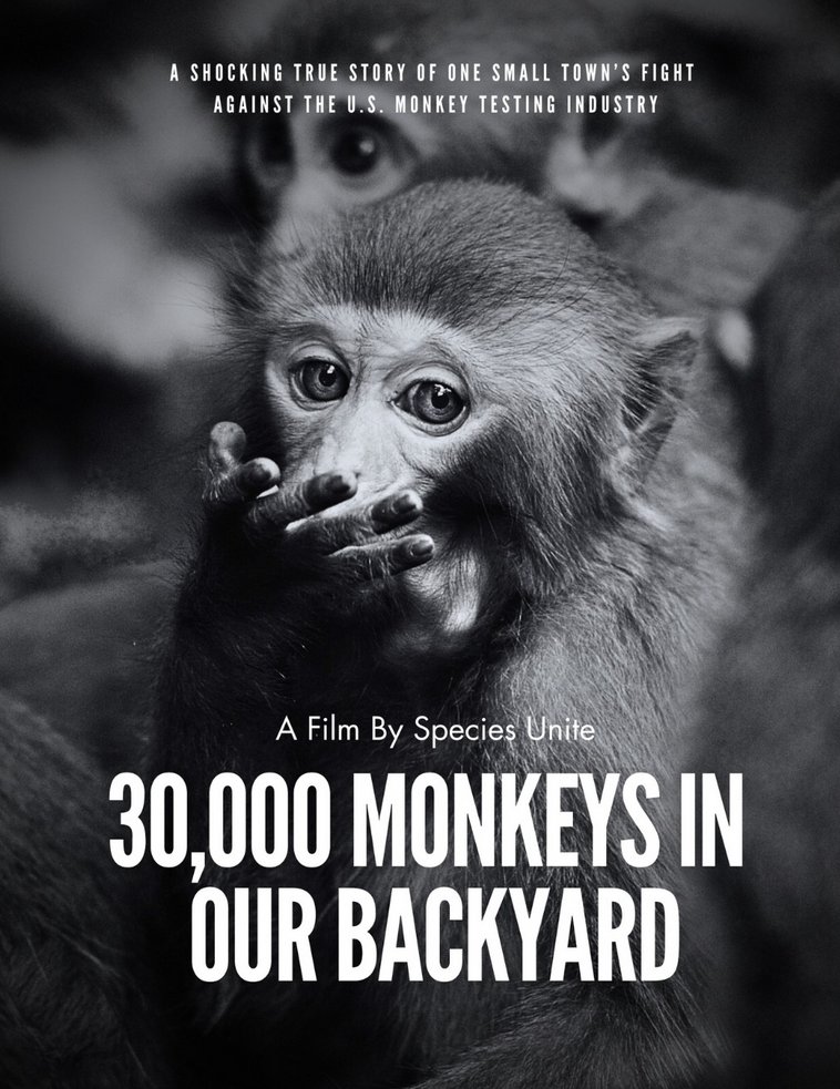 El próximo 1 de noviembre se estrena “30,000 Monkeys in our Backyard”.

Un documental de <a href="/SpeciesUnite/">Species Unite</a>  sobre un pequeño pueblo en EEUU que se ha unido para luchar contra el negocio de la experimentación animal y la construcción de una enorme “granja de macacos” destinados a ser