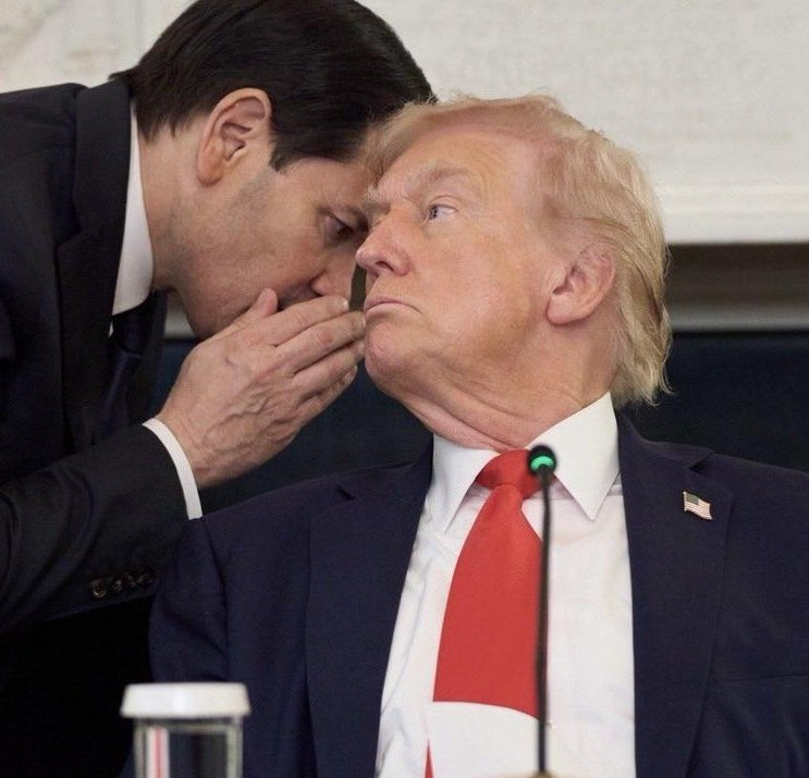 Mollyploofkins's tweet image. What do these events have in common?