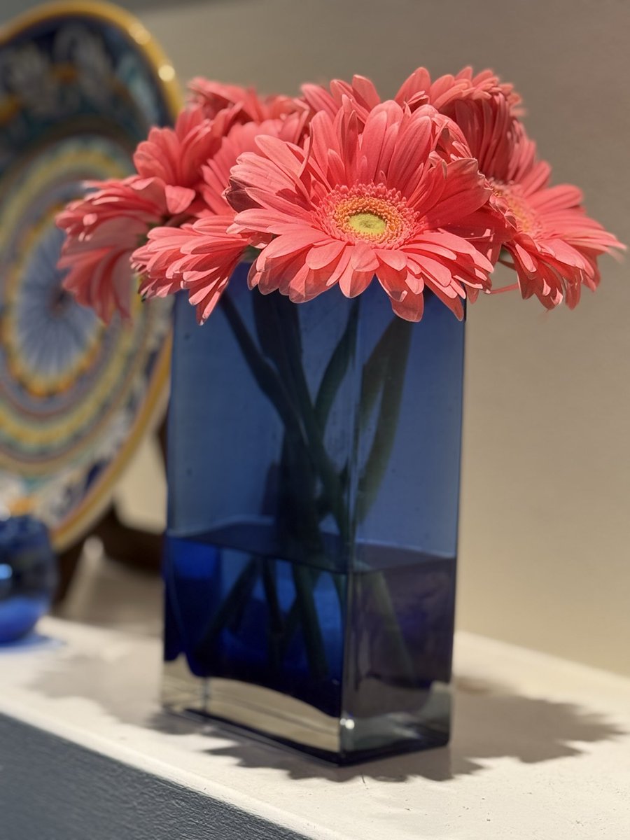 Chemo ruined many things for me: my comfy sweatpants, a soft toque, the bag I took to treatments. To see them made me ill. They all got chucked.  But Gerbers kept me company during the horror days. I wasn’t sure if I could love them again . Today I decided I could. #fuckcancer 🌸