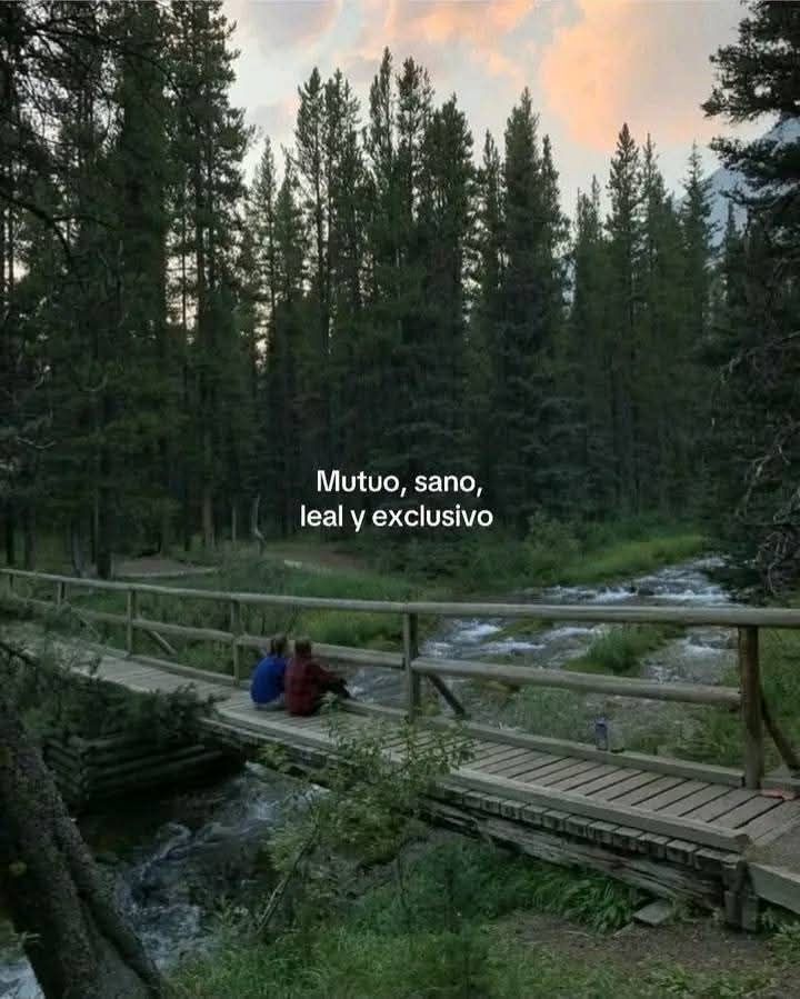 vibesfyp's tweet image. 