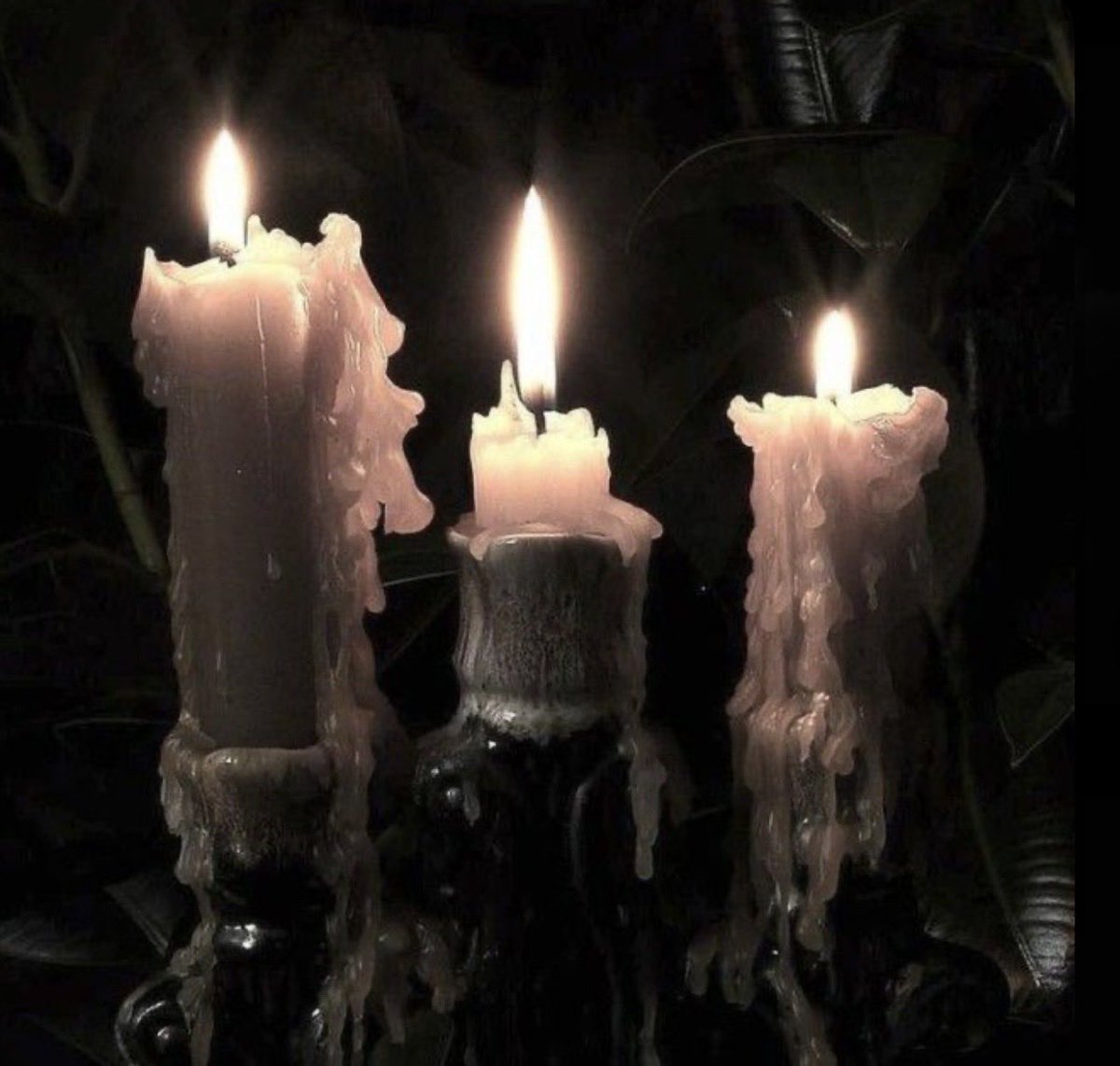 ananvroid's tweet image. intro!             
                           ⋆｡˚ ☁︎ ˚｡⋆｡˚☽˚｡⋆
           🩶˶ [she/her] ،، [20] ִ ࣪  [bmi fat]
              ᯓʚɞ ⸝ [edtwt] ،، [weedtwt] ⟢
              ⋆˙⟡ ⋮ let's be moots! ° ᡣ𐭩 . ⋆

interests in thread! 🪡