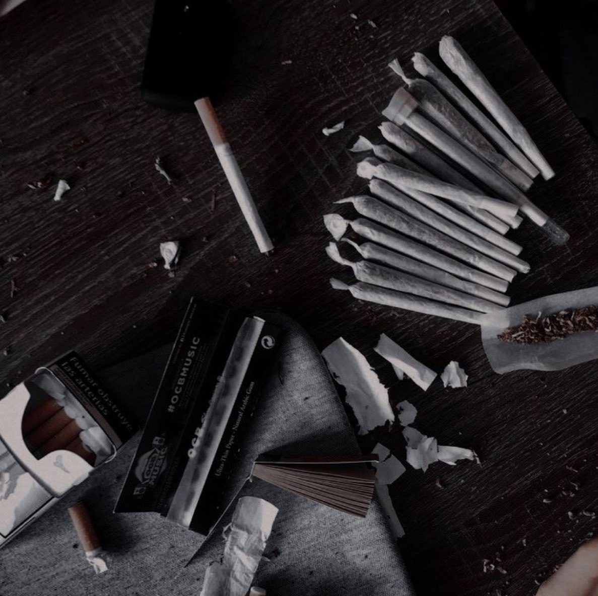 ananvroid's tweet image. intro!             
                           ⋆｡˚ ☁︎ ˚｡⋆｡˚☽˚｡⋆
           🩶˶ [she/her] ،، [20] ִ ࣪  [bmi fat]
              ᯓʚɞ ⸝ [edtwt] ،، [weedtwt] ⟢
              ⋆˙⟡ ⋮ let's be moots! ° ᡣ𐭩 . ⋆

interests in thread! 🪡