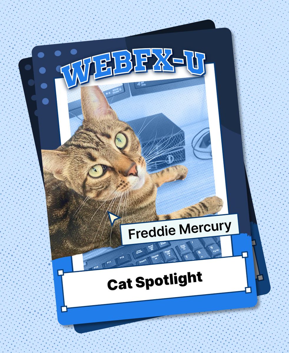 webfx's tweet image. Registration for WebFX-U closes tomorrow (10/10) at 12 p.m. If you haven&apos;t registered yet, now is the time! 🚨

Before registration closes, we&apos;d like you to meet Shannon and her sidekick Freddie Mercury (no, not THAT Freddie Mercury — but equally as cool). Shannon is one of our…