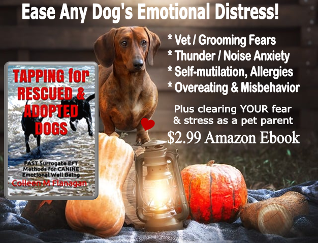 HolisticTips4U's tweet image. Book of techniques &amp;amp; EFT #tapping scripts I used to calm terrified shelter #dogs to help them get adopted.
🐕‍🦺 Book&apos;s 2 min video overview:  youtu.be/gPAWaAeZMhMUS
🐶 EBook Details &amp;amp; Table of Contents:  amazon.com/-/e/B00WOLEZF4
#dogrescue #petparents #DogLover #rehomed