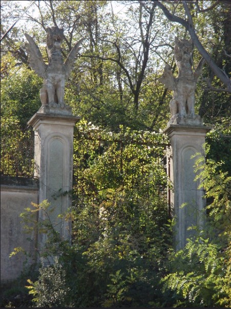 Com sempre passa a Collserola:
mai acabes descobrint només el que havies anat a buscar. gran cita de <a href="/descollserola/">Descobrint Collserola</a>