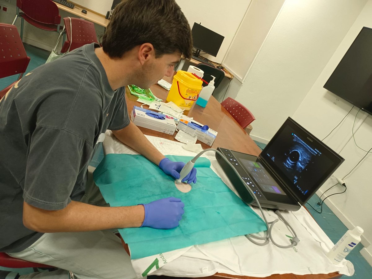 Finalizamos la 5ª edición del Curso de Canalización Vascular Ecoguiada en #Pediatría y #Neonatología organizado por <a href="/UCIPedHUVR/">UCI Pediatría HospitalUvRocío</a> 

Seguimos avanzando en técnicas de alta complejidad para dispensar cuidados seguros y de calidad a los pacientes más pequeños del <a href="/HospitalUVRocio/">Hospital Universitario Virgen del Rocío</a>