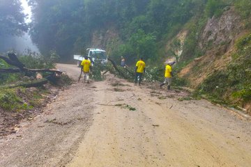 First image shows three workers in yellow vests and blue pants walking along a dirt road with a white truck parked nearby, clearing fallen tree branches and debris from a landslide area surrounded by green forested hills and mist. Second image depicts four workers in yellow vests handling large tree trunks and branches on a narrow dirt path amid dense green vegetation and fog. Third image features two workers in yellow raincoats near a white truck on a misty road, removing logs and branches blocking the path with rocky slopes and trees in the background. Fourth image illustrates workers in yellow vests lifting and clearing rocks and tree parts from the roadside in a forested, muddy area with a dirt path extending into the distance.