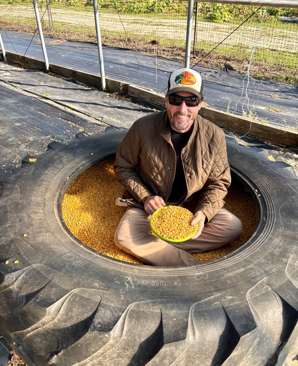 Did our pumpkin picking this year at Jake's along with all my normal shenanigans. This time it was a cornround vs. a sandbox?