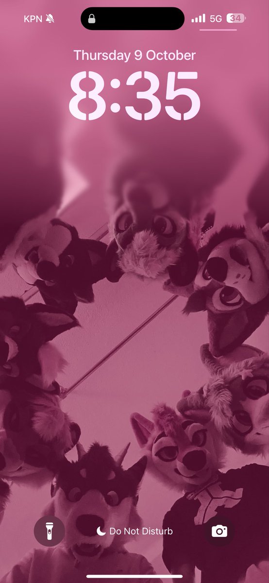 silly gay animals in my phone!!! 
lock screen sharing :3