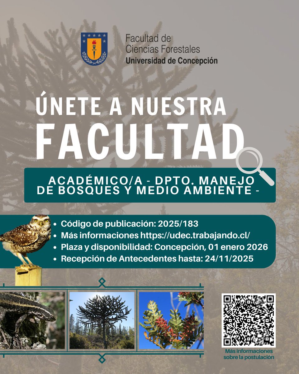 ¡ÚNETE A NUESTRA FACULTAD! 🌳
Se abre una vacante para Académico/a - Dpto. Manejo de Bosques y Medio Ambiente -
👉Más informaciones udec.trabajando.cl
-Código de publ.: 2025/183
-Plaza y disponibilidad: Concepción, 01 enero 2026
-Recepción Antecedentes hasta: 24/11/2025