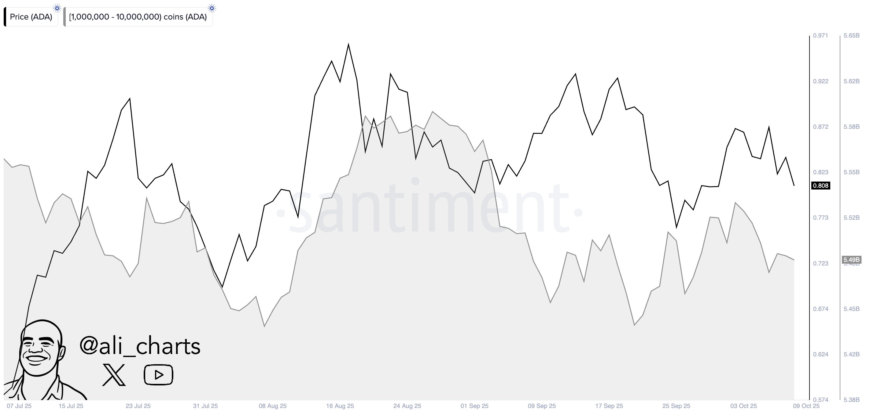 Whales Sell 40 million ADA