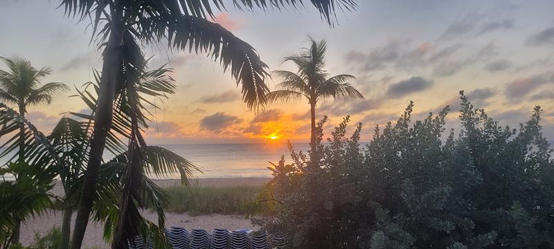 Live tunes, beach vibes, and cold drinks. Nights at Plunge Beach Resort are made for fun with friends (Photo: Matt G.) #PlungeBeachResort #LauderdaleByTheSea