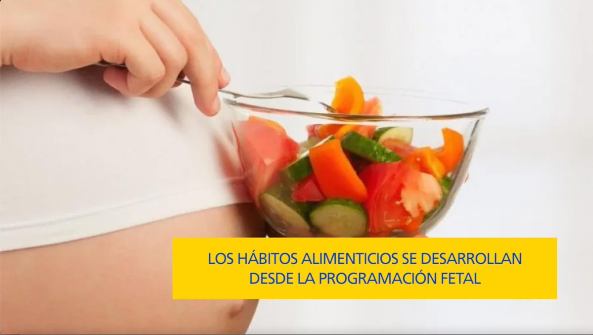 Mantener hábitos alimenticios saludables contribuye al bienestar físico y emocional, señaló la Coordinadora de Posgrados en Nutrición de la @UVAQ, quien compartió cómo los hábitos alimenticios influyen en cada etapa de la vida humana. youtu.be/BlMeYaQSHNI
#EnLaUVAQeresTú