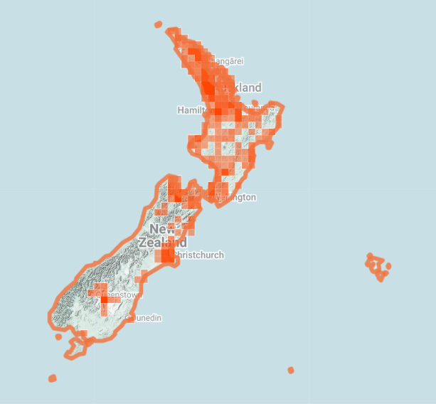 Moths&ButterfliesNZT tweet media