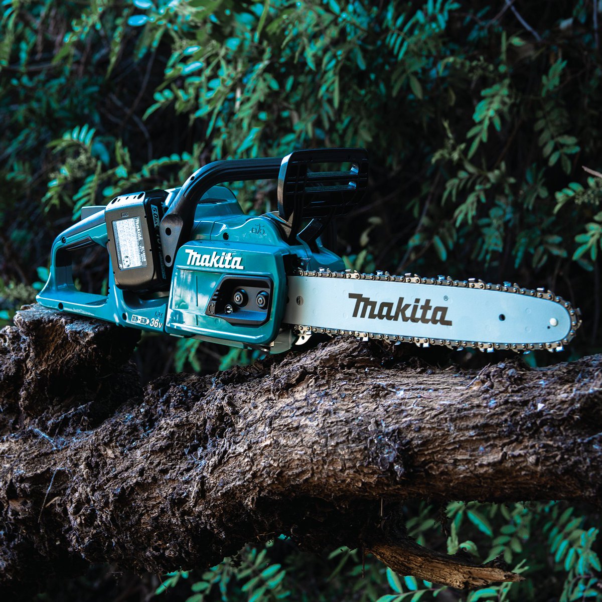 MakitaTools's tweet image. We are talking to tree trimmers & chain saw enthusiasts! What is your preference of how to adjust the chain tension? Do you like to use the Makita tool-less option? Or do you prefer using the bar nuts to adjust? Let us know in the comments!
#makitatools #makitausa #makitaope