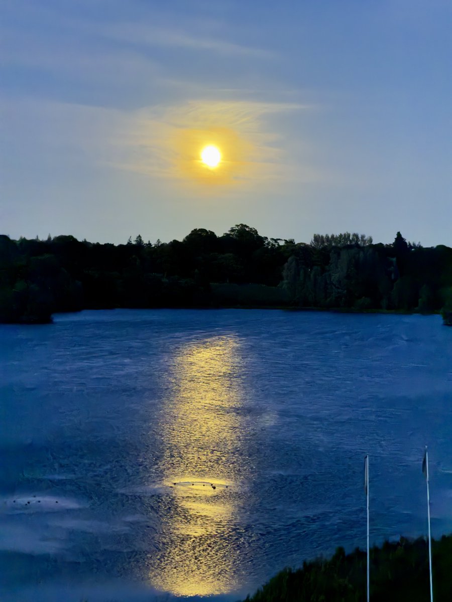 Mike Harvey tweet media