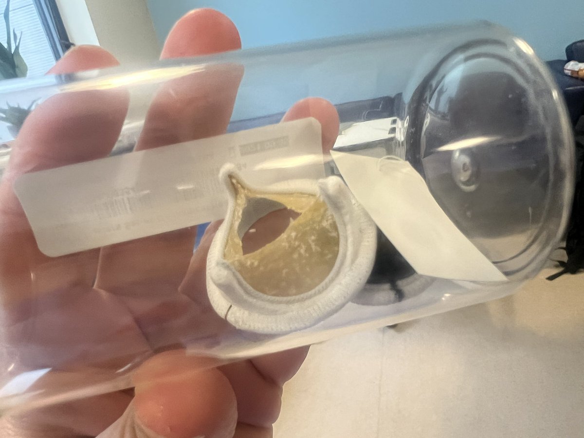 Joanna Thirsk 🇿🇦🇬🇧💙🌈 tweet media