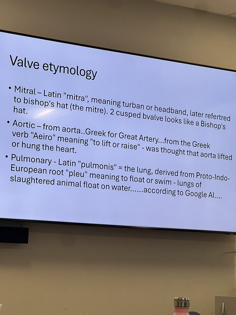 Joanna Thirsk 🇿🇦🇬🇧💙🌈 tweet media