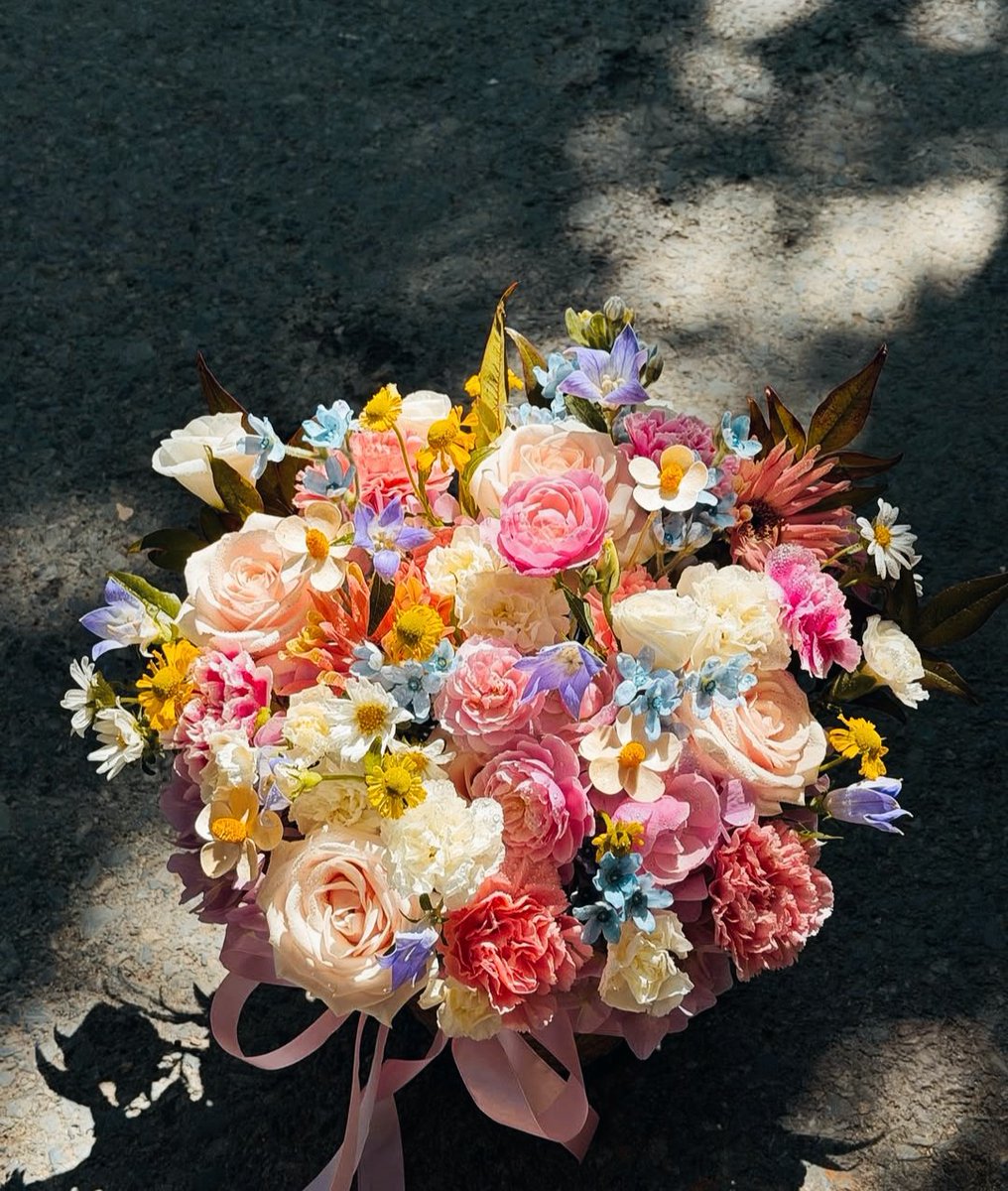 Çiçeğin güzelliğine bakar mısınız 🩷