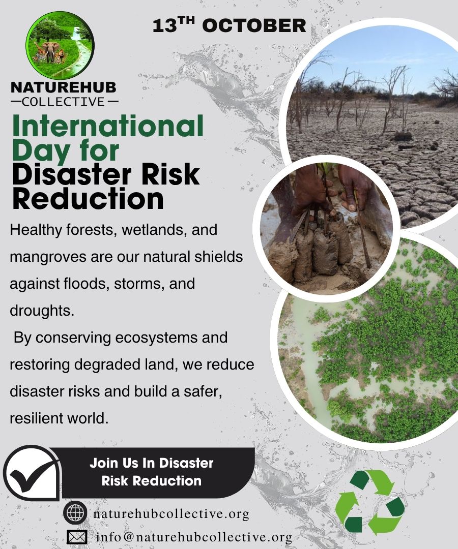 FredKio57975244's tweet image. Healthy ecosystems are our first line of defense 🌿
This InternationalDayForDisasterRiskReduction, @ Naturehub Collective works to restore forests, protect mangroves &amp;amp; empower communities.
Let’s protect it. 🌍💚
#DRRDay #ClimateAction #NatureBasedSolutions