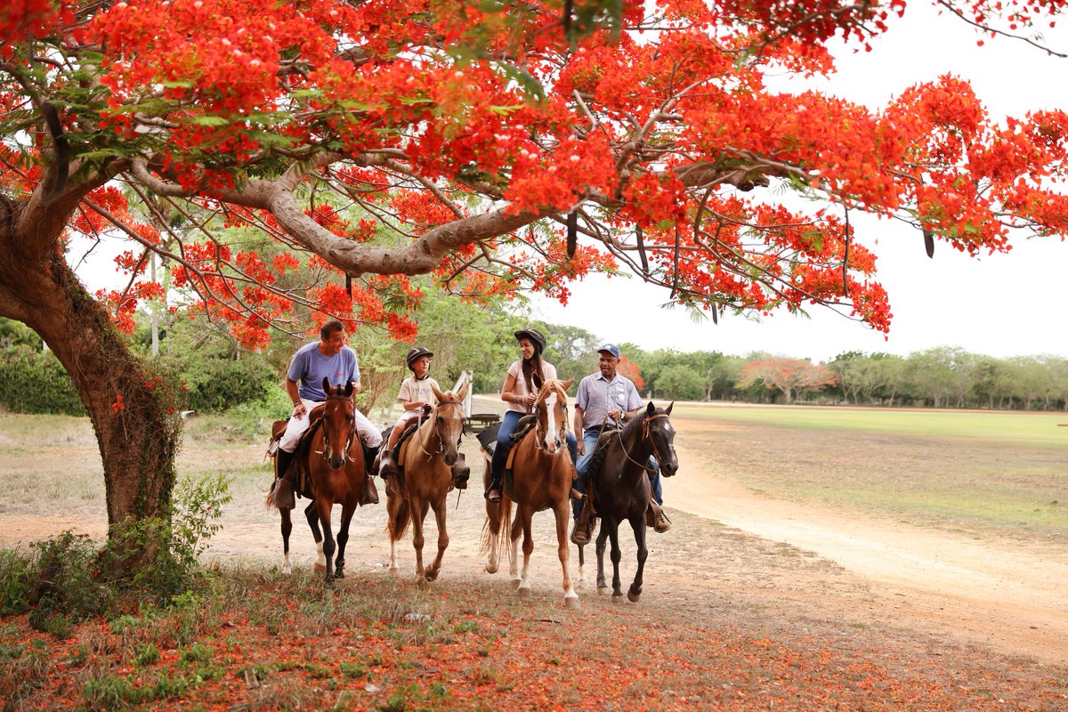 Looking for an adventure? Join a horseback riding tour through the renowned #CasadeCampoResort, where you can enjoy impressive views of unique and natural beauty! Ask in your ship’s tour desk all tours &amp; experiences available for you! 🛳️ 🌊