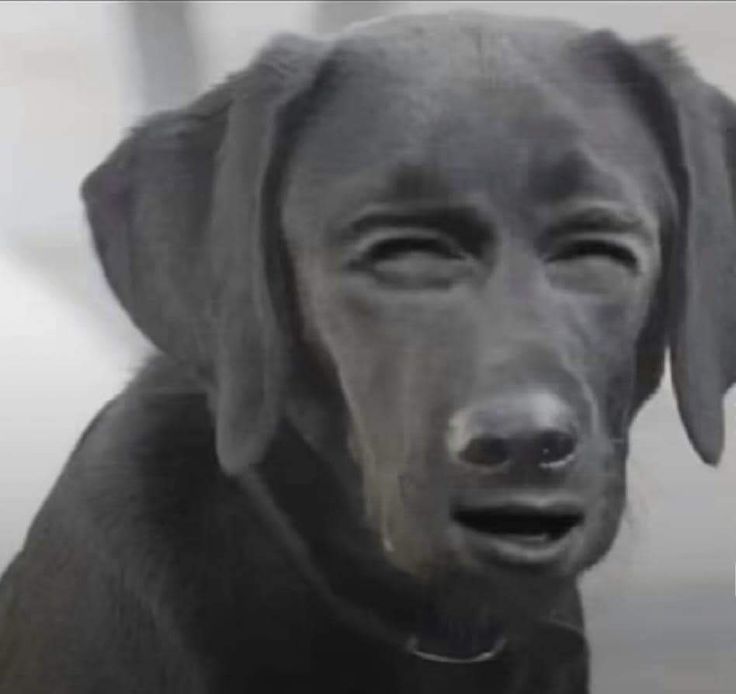 lawrence Nderu (PhD) tweet media