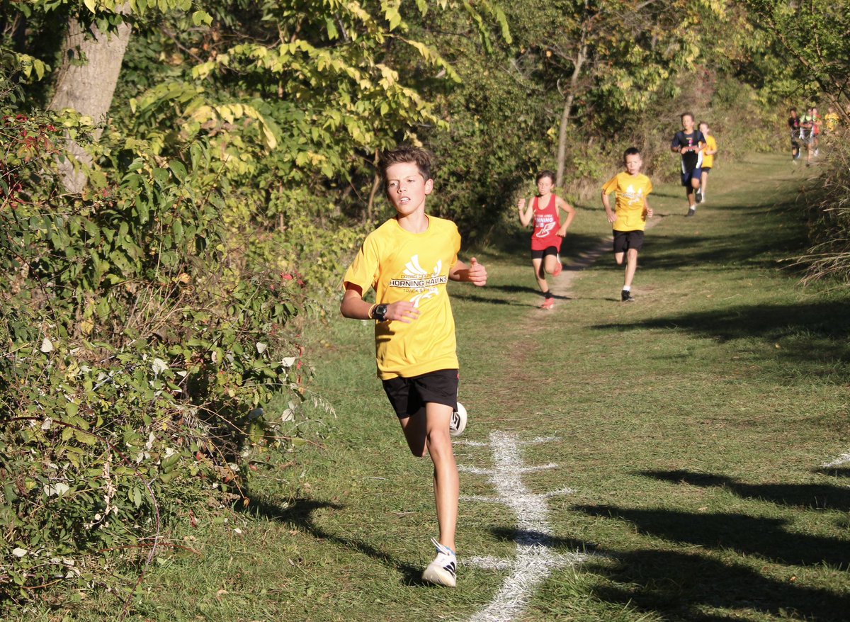 Horning Hawks CC and TF tweet media