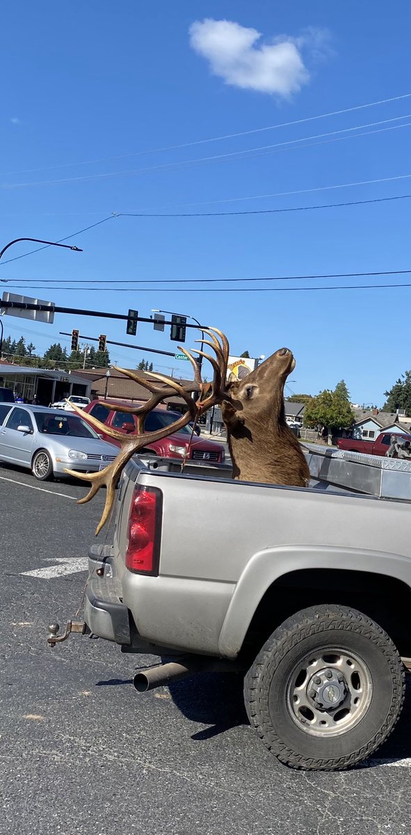 6f77aa1f170c4ff's tweet image. Busy day in Eatonville yesterday