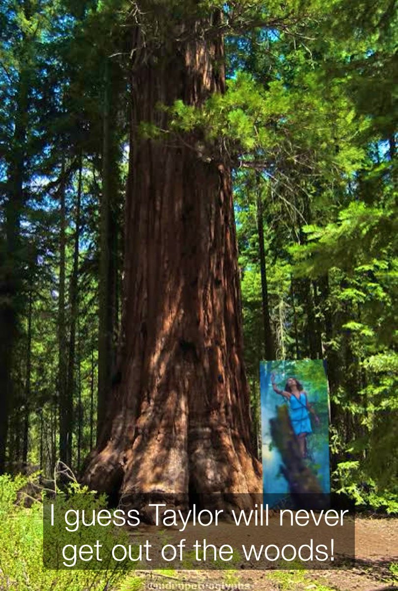 I guess <a href="/taylorswift13/">Taylor Swift</a> will never get out of the woods!